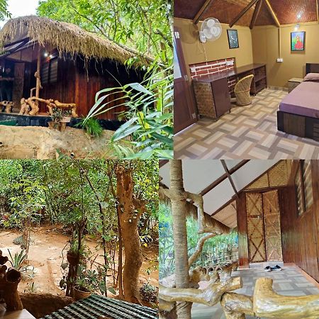 Koomankolly Resort Thirunelly Exteriér fotografie