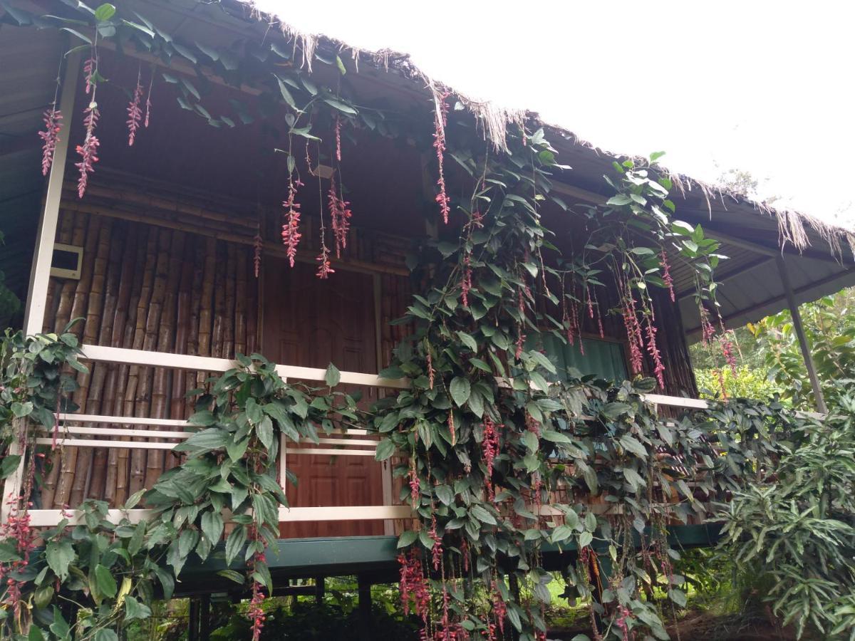 Koomankolly Resort Thirunelly Exteriér fotografie