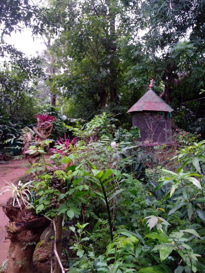 Koomankolly Resort Thirunelly Exteriér fotografie