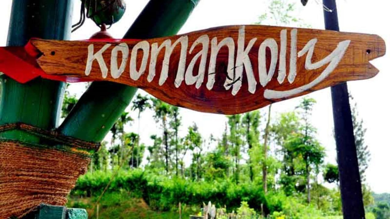 Koomankolly Resort Thirunelly Exteriér fotografie