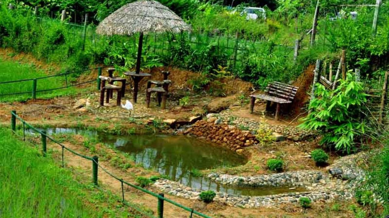 Koomankolly Resort Thirunelly Exteriér fotografie