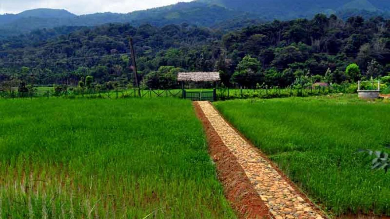 Koomankolly Resort Thirunelly Exteriér fotografie